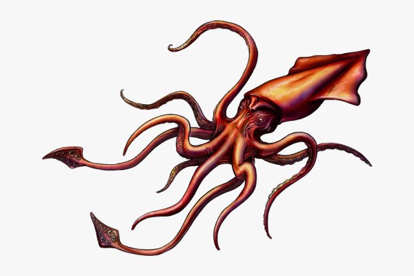 Kraken зеркало kraken 6 onion