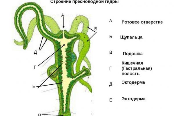 Кракен в россии наркотик