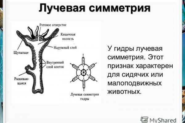 Ссылка на кракен kr2web in