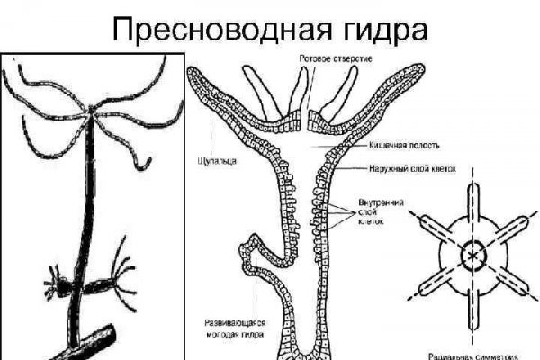 Kraken официальный сайт kraken11 store